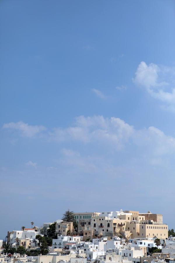 Alma Libre Villas Chora Naxos City エクステリア 写真