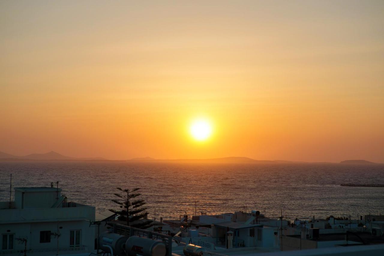Alma Libre Villas Chora Naxos City エクステリア 写真